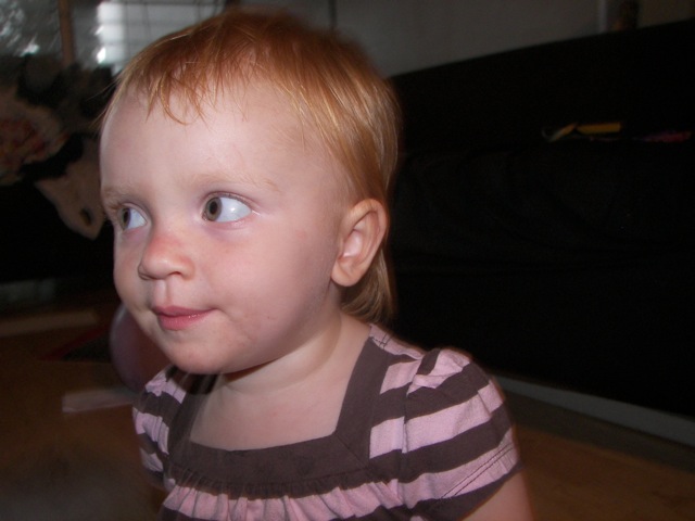 100_80051.jpg